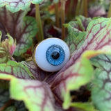 I'm Watching You