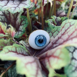 I'm Watching You