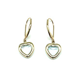 Aqua Heart